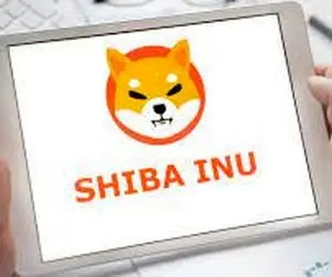 وقت کنار گذاشتن شیبااینو رسیده؟!