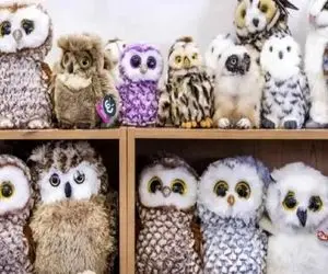 بازی فکری؛ حتی خلبان هام به سختی میتونن جغد واقعی رو بین جغدای اسباب بازی پیدا کنن