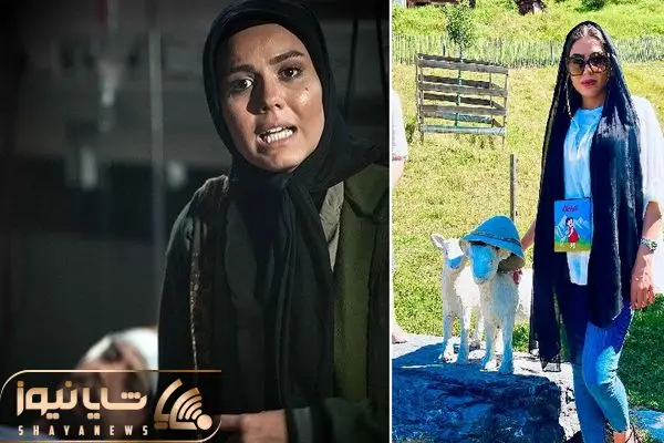 azadeh zareie shayanews