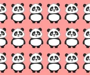 بازی فکری؛ اگه نمره 20 کلاسو میخوای پاندای جاسوس رو بین 10ها پاندا دریاب