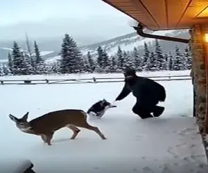 معماری طبیعت؛ یکی نیست بگه مرد ناحسابی اینجام جای زندگیه هم خودش و هم حیووناش ترکیدن