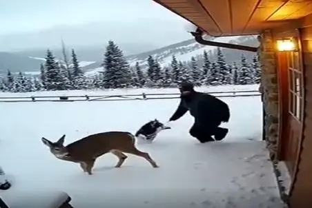 معماری طبیعت؛ یکی نیست بگه مرد ناحسابی اینجام جای زندگیه هم خودش و هم حیووناش ترکیدن