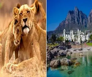تور آفریقای جنوبی / یه تجربه ی متفاوت با پارک های آبی تو دل جنگل و سافاری وسط شیرها