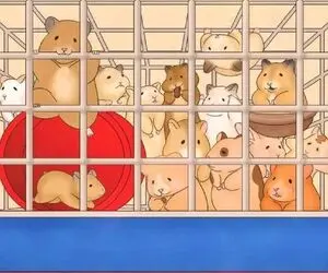 بازی فکری؛ اگه دید تک‌ تیراندازی داری خرگوش رو بین همسترها پیدا کن!