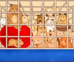 بازی فکری؛ اگه دید تک‌ تیراندازی داری خرگوش رو بین همسترها پیدا کن!