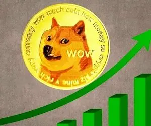 دوج کوین درحال سقوط؟