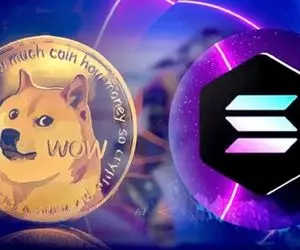 سولانا، Flips و Dogecoin در بازار 9 میلیارد دلاری؟