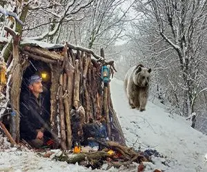 معماری خلاقانه؛ ساخت خانه چوبی جنگلی در زمستان برای خورده نشدن توسط خرس قطبی