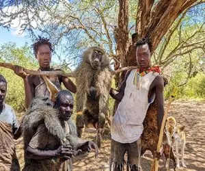 کباب بابون؛ بربرهای برهنه بابون زمخت و سر بریدن گوشتشو درسته آبپز کردن بلعیدن