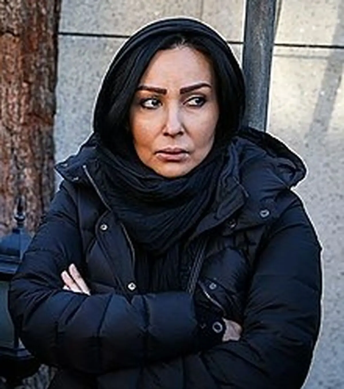 Parastoo Salehi (2015).jpg