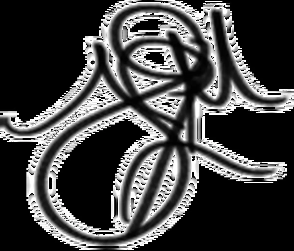 Zayn's signature.png