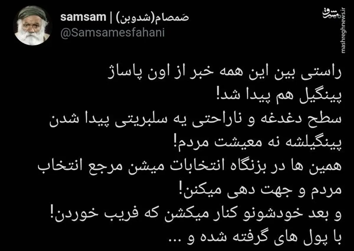 واکنش تند مجری شبکه پنج با پینگول؛ ماجرای سگ حدیث تهرانی!