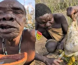 کباب میمون؛ بربرهای برهنه دل و قلوه میمون و در آوردن خام خام بلعیدن پوستشو پوشیدن