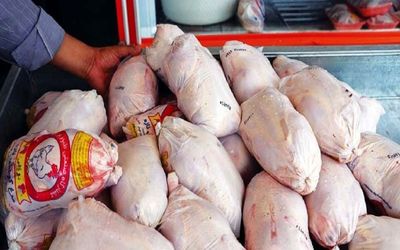 جزئیات کشف یک هزار و 600 کیلوگرم مرغ فاقد مجوز