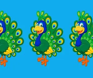 هوش تصویری؛ اگه باهوشا باید بشینن سَر کِلاس دَرست بگو کدوم تصویر با بقیه فرق داره!