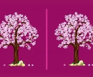 بازی فکری؛ باید مغزت در حد ژاپنیا فعال باشه تا بتونی تفاوت های درختای گیلاسو پیدا کنی