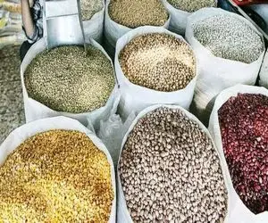 ریزش شدید قیمت حبوبات در راه است؟ 