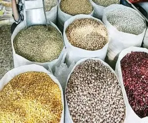 ریزش شدید قیمت حبوبات در راه است؟ 