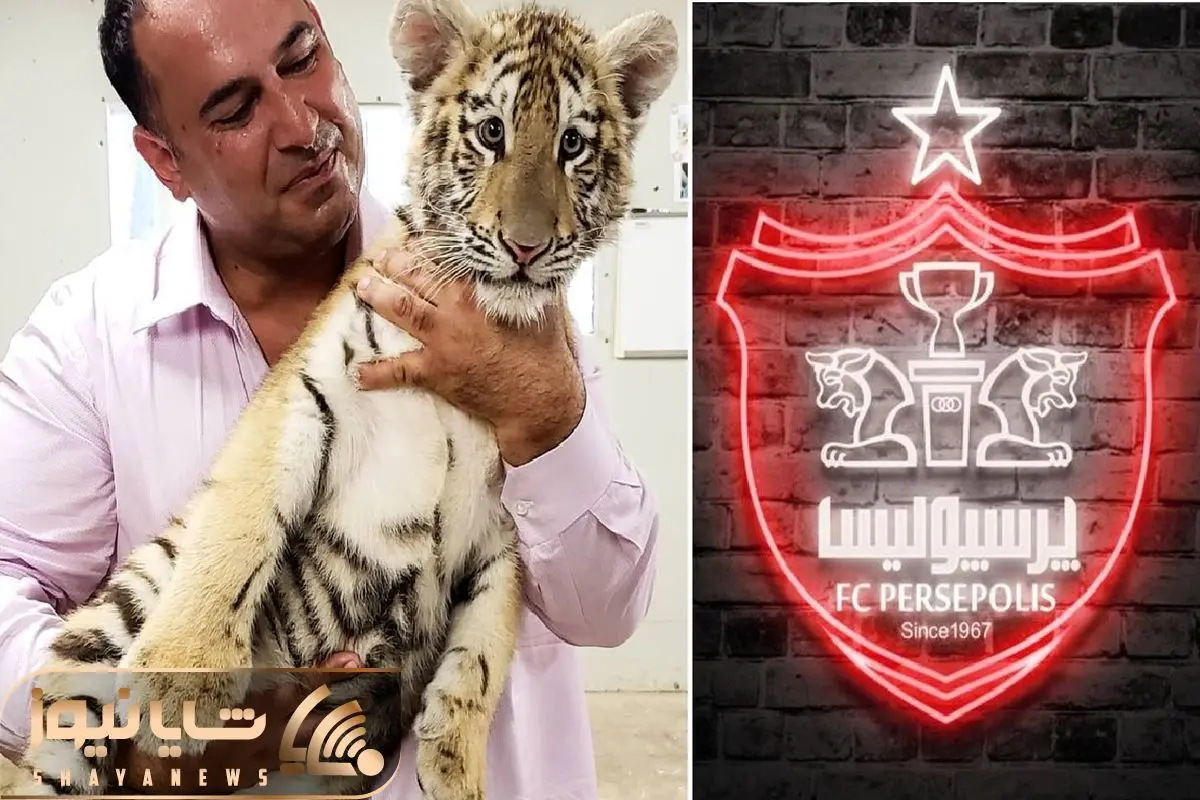 الکس هادی تقی پرسپولیس