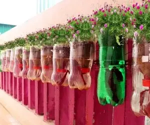 ایده های خلاقانه؛ باغچه کف حیاط نداری برو تو کار ایستاده هاش حالا باغچه ایستاده چیه؟