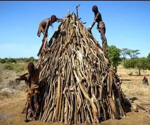 معماری خلاقانه؛ تو اعماق بیابون با الوار و الیاف درخت خونه مخروطی ساختن از گرما نمیرن