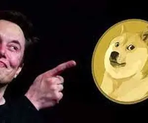 هشدار مهم ایلان ماسک به دوج کوین دارها!