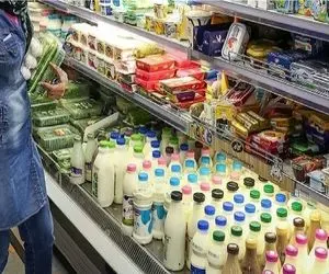 محصولات لبنی ارزان می‌شوند؟