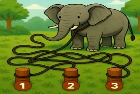 بازی فکری؛ اون که نقشه خوانیش خوبه و نیاز نداره آدرس بپرسه میدونه فیل به کدوم چوب وصل