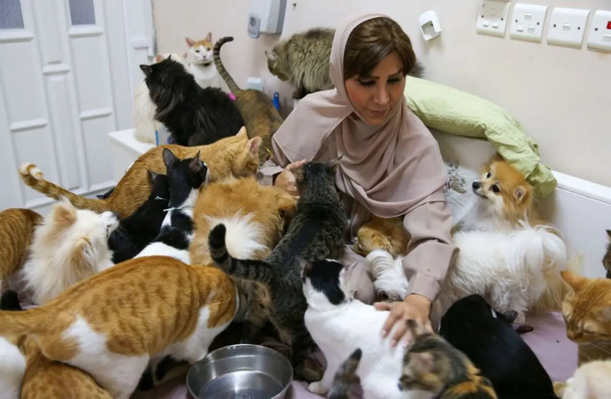 (عکس) مریم زنی با 480 گربه و 12 سگ!