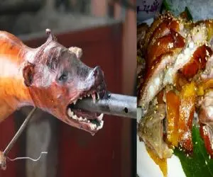 کباب سگ؛ سگای نازنازی ولگردو جمع و میله رو از دهنش فرو میکنن بریونی شده میبرن