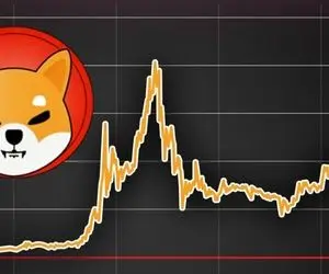 آیا "شیبا اینو" با ۵۰ درصد افزایش روزانه همراه است؟