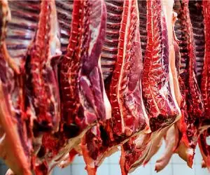 قیمت گوشت قرمز امروز ۹ اردیبهشت ۱۴۰۵ + جدول