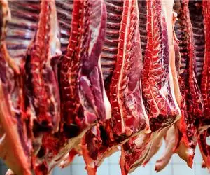 قیمت گوشت قرمز امروز ۹ اردیبهشت ۱۴۰۵ + جدول