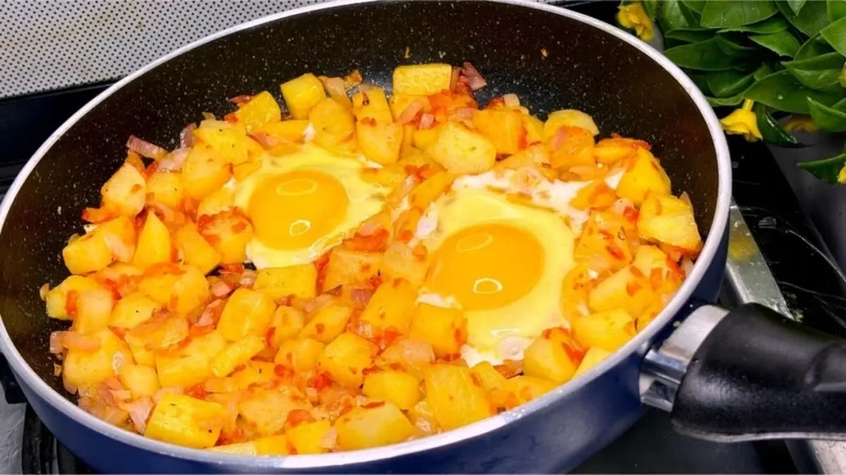 ommlet-4