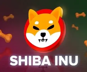 میتوان با شیبااینو میلیونر شد؟