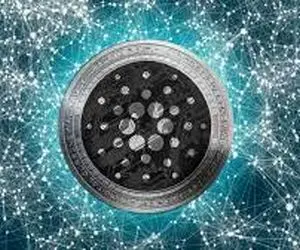 دیدگاهی جدید از کاردانو!