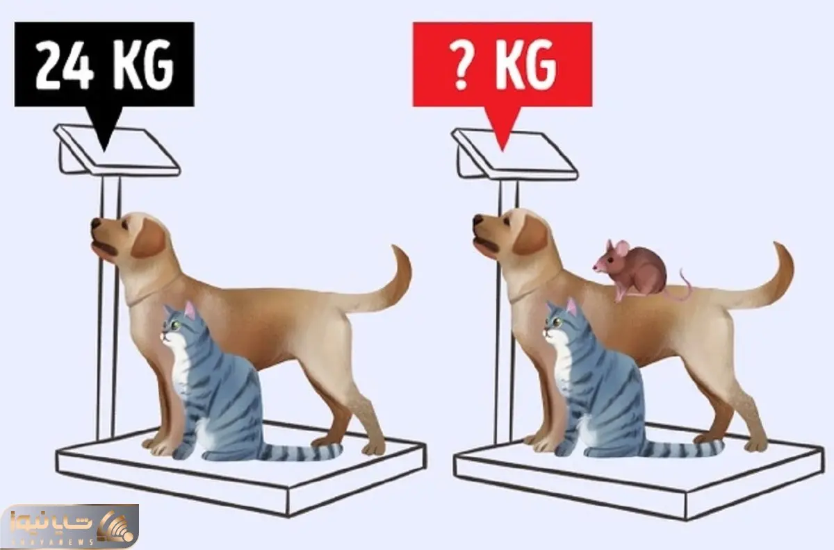 بازی فکری؛ اگه تو ریاضیات مریم میرزاخانی ثانی هستی بیا تو این معما وزن رو حساب کن