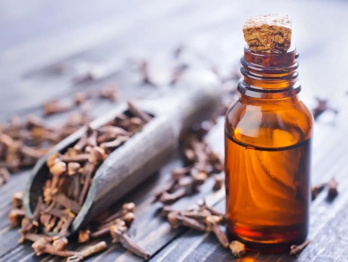 Eugenia_Aromatica_essential_oil-min