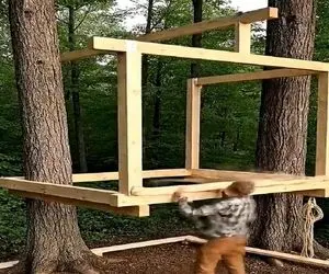 معماری خلاقانه؛ با چهارتا تیر و تخته یه کلبه چوبی بالا درخت ساخت که آرزوی هر کسیه