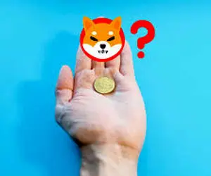 اطلاعاتی جدید از شیبااینو فاش شد!!