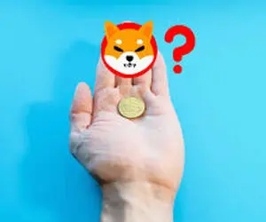 اطلاعاتی جدید از شیبااینو فاش شد!!