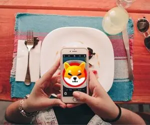 شیبااینو یک شبه گل کاشت؟!