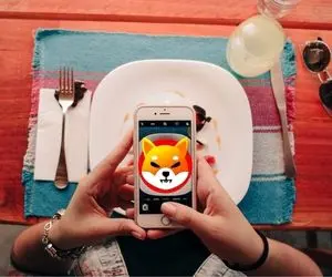 شیبااینو یک شبه گل کاشت؟!