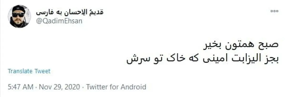 کاربران فضای مجازی از الیزابت امینی انتقام گرفت