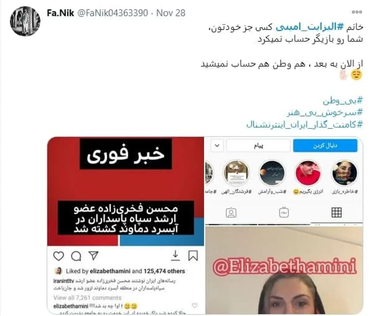 ماجرای واکنش توهین آمیز الیزابت امینی به شهید هسته ای چیست؟