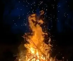 آواز اصیل؛ این آهنگ شهرام ناظری همه خاطرات زیبای دهه شصتیارو زنده میکنه