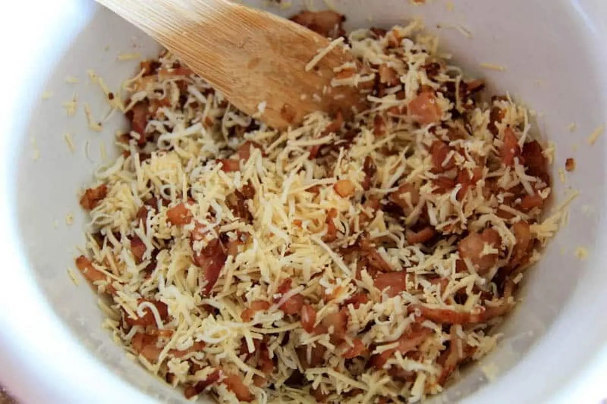 قارچ شکم پر