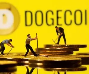 دوج کوین در منطقه ریزیش؟