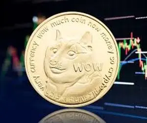 بالاخره "شیبا اینو" به آرزویش رسید؟