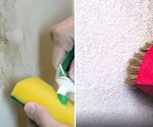 چجوری لکه رو دیوارو تمیز کنیم که دیگه رنگ نخواد؟/ نحوه شناخت نوع رنگ برای تمیزی بهتر